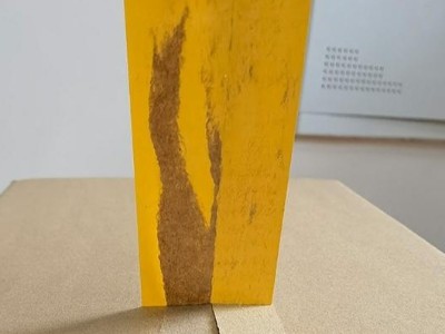 成都南瓜视频下载APP免费版下载南瓜视频APP在线看污运输水果，值得你选择