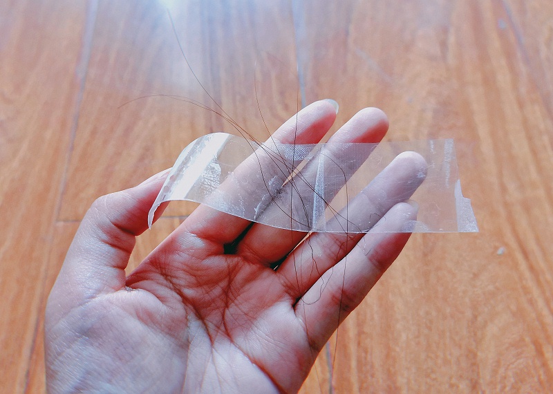 透明南瓜视频APP在线看污