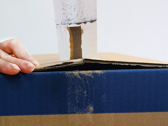 透明南瓜视频APP在线看污