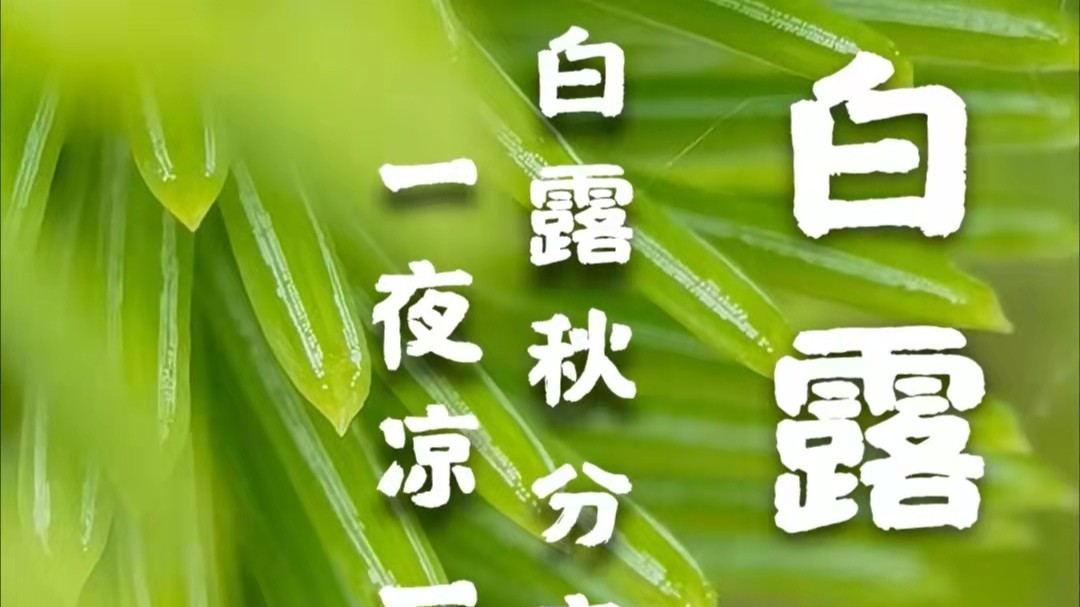 南瓜视频下载APP免费版下载包装南瓜视频APP在线看污厂家：白露到，秋渐深