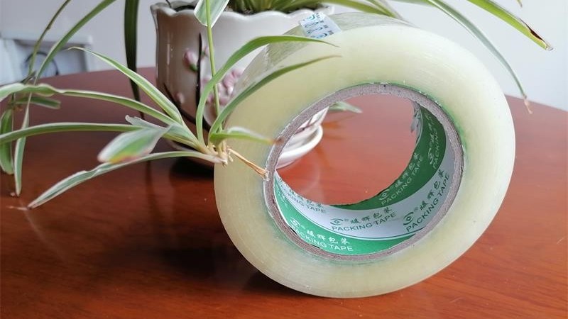 成都南瓜视频APP在线看污