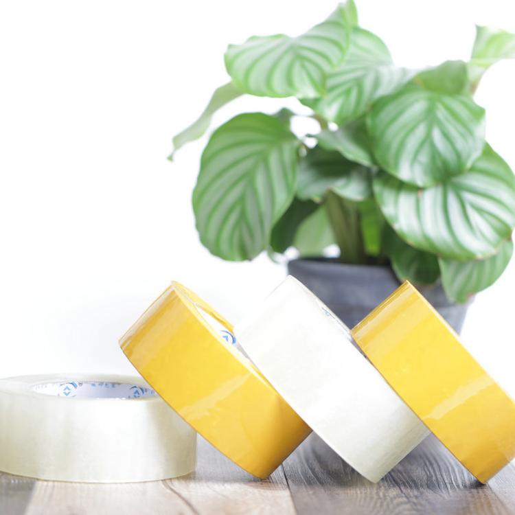 南瓜视频APP在线看污