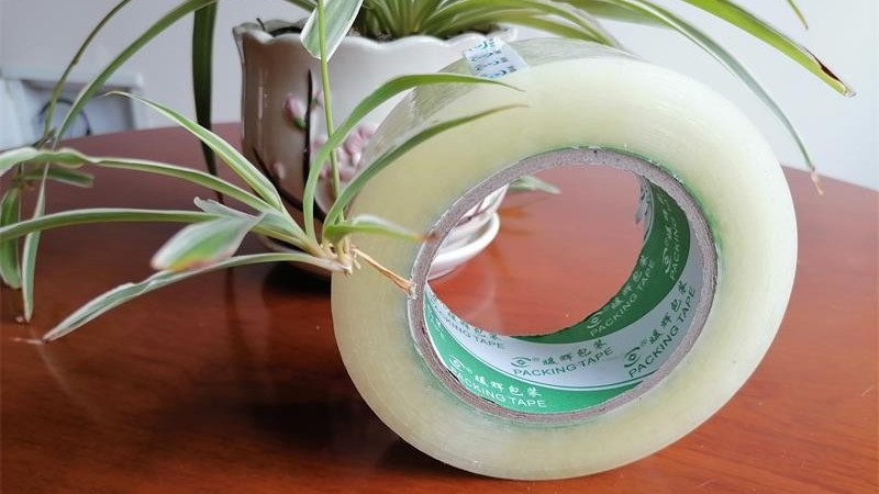 南瓜视频APP在线看污