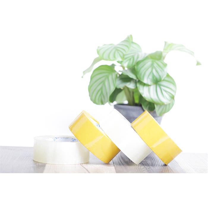 南瓜视频APP在线看污