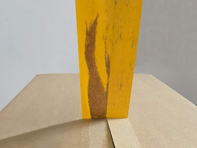 成都南瓜视频APP在线看污