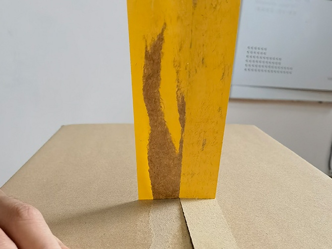 封箱透明南瓜视频下载APP安卓